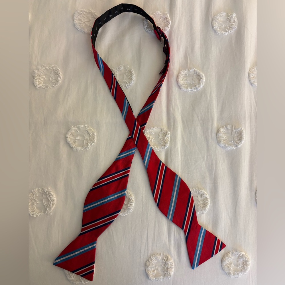 Rooster Men’s Red and Blue Striped Bow Tie